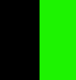 FLUOR GREEN - BLACK